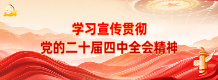 W020251212542610430735